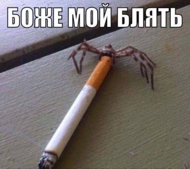 интерактив: какой у вас вайб?

надо зайти в пинтерест, обновить рекомендации, и первые 3 фото покажут ваш вайб

передаю ; <a href="/l0nwon/">ℒׄ |ENHYPEN IS 7.</a> <a href="/amyfist/">emi // en⁷</a> и всем кто хочет!

я конченная?

DON'T TRADE ARTISTS FOR PROFIT.
#BELIFT_Listen_to_Fans
#BELIFT_StopGaslighting
#ENGENES_MADE_ENHYPEN_7