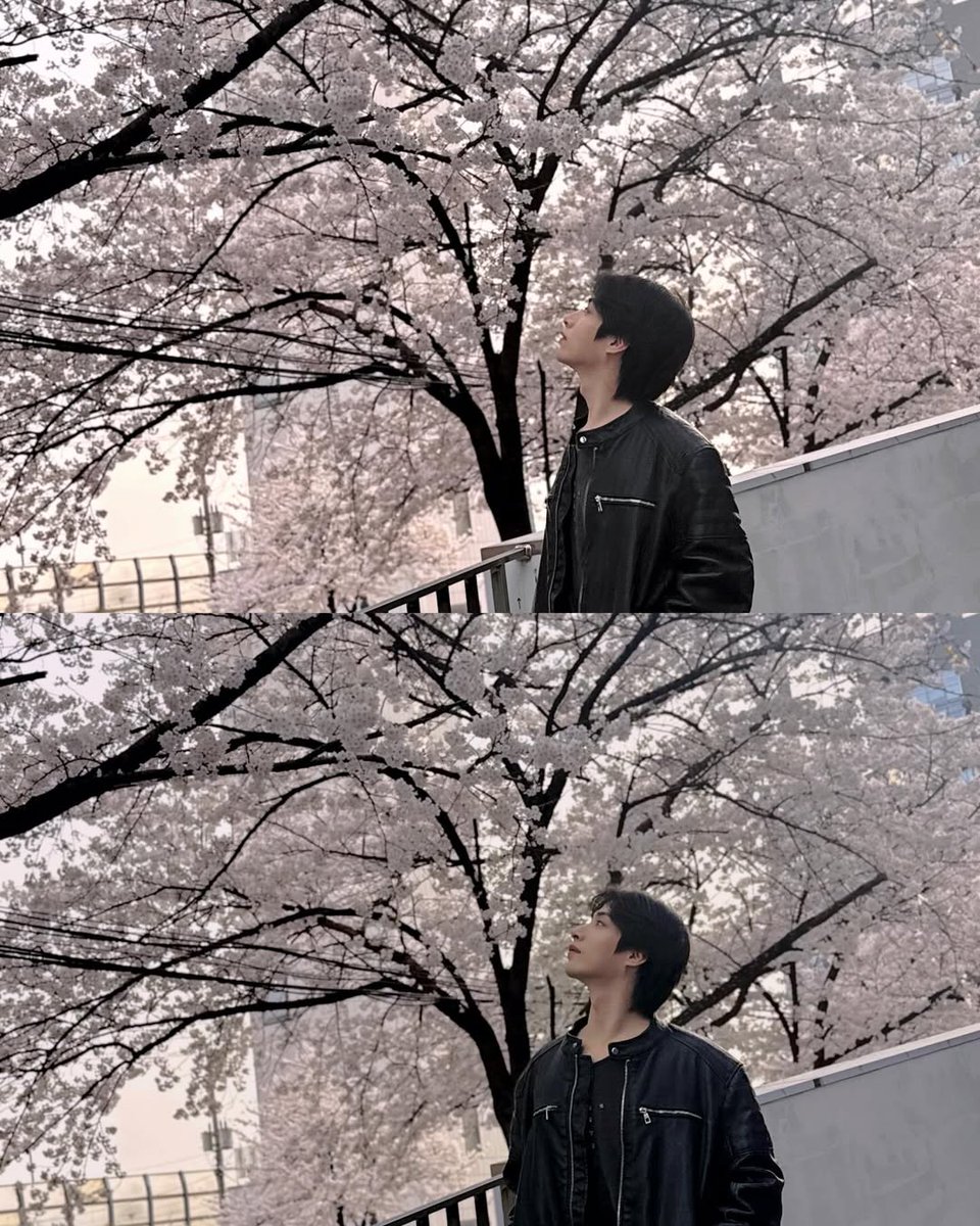 그믐🌘 tweet media