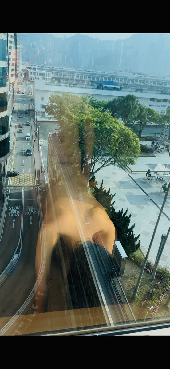 Joey Freeman tweet media