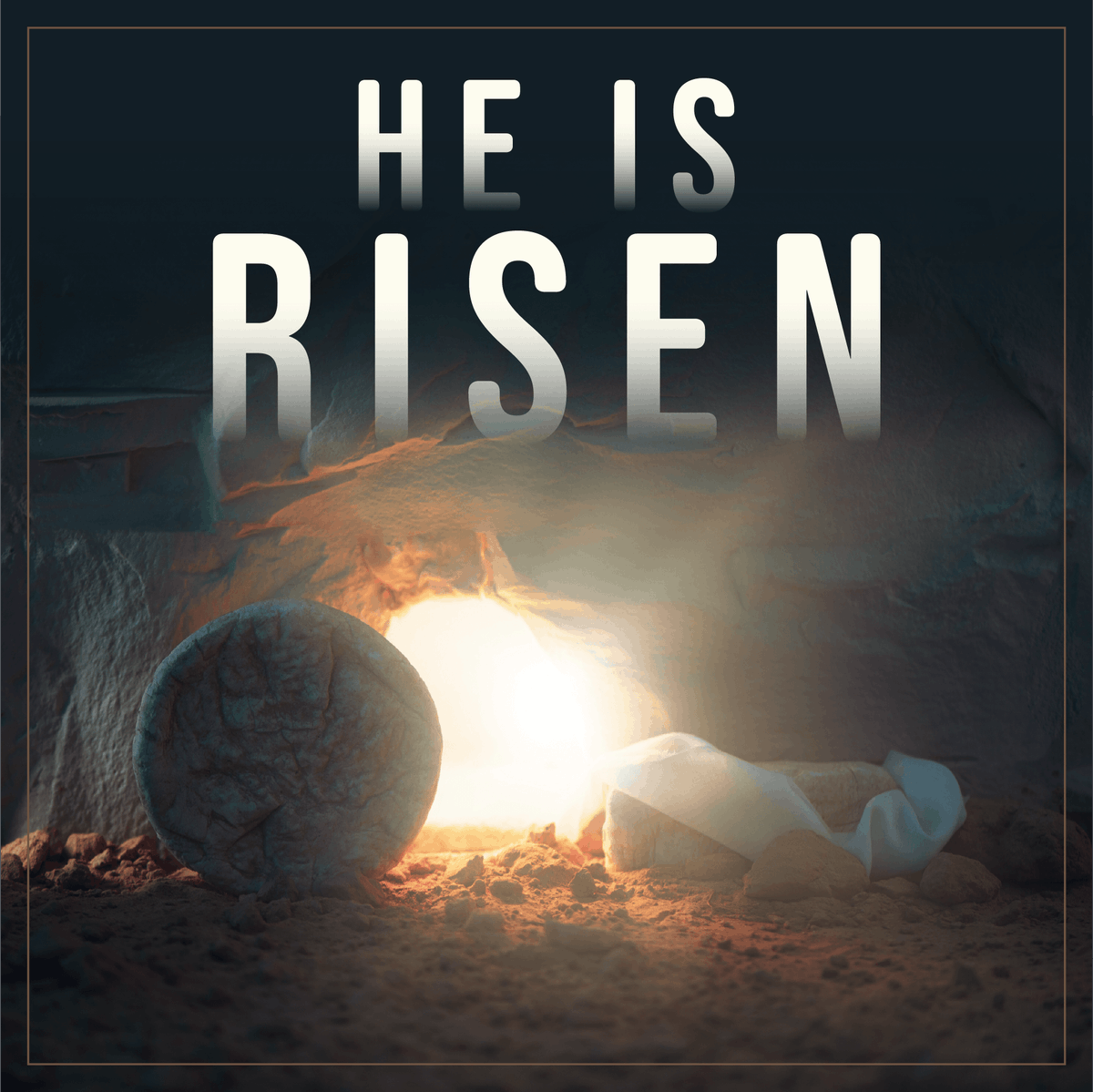 Jake Ellzey tweet media