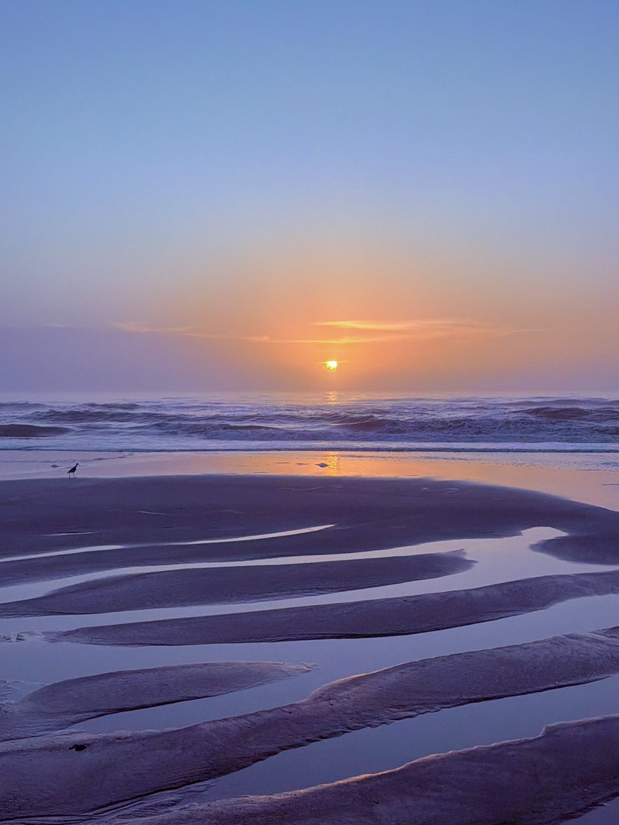 Donna Deegan tweet media