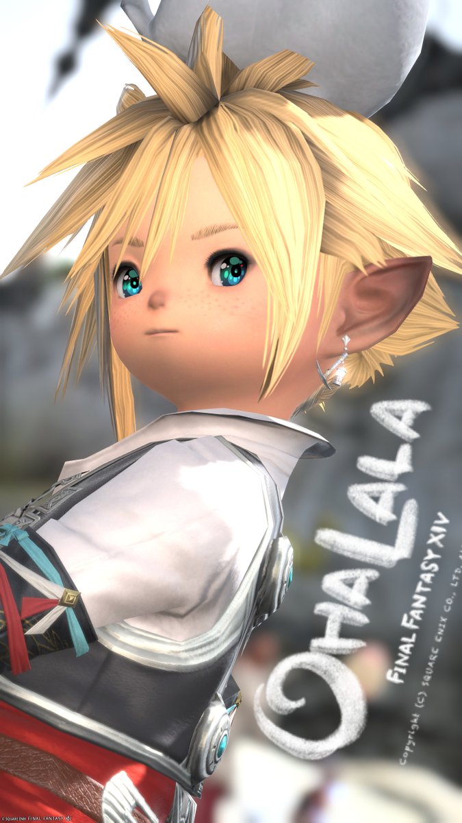 アズ(Azu Lite)🐨Aegis tweet media