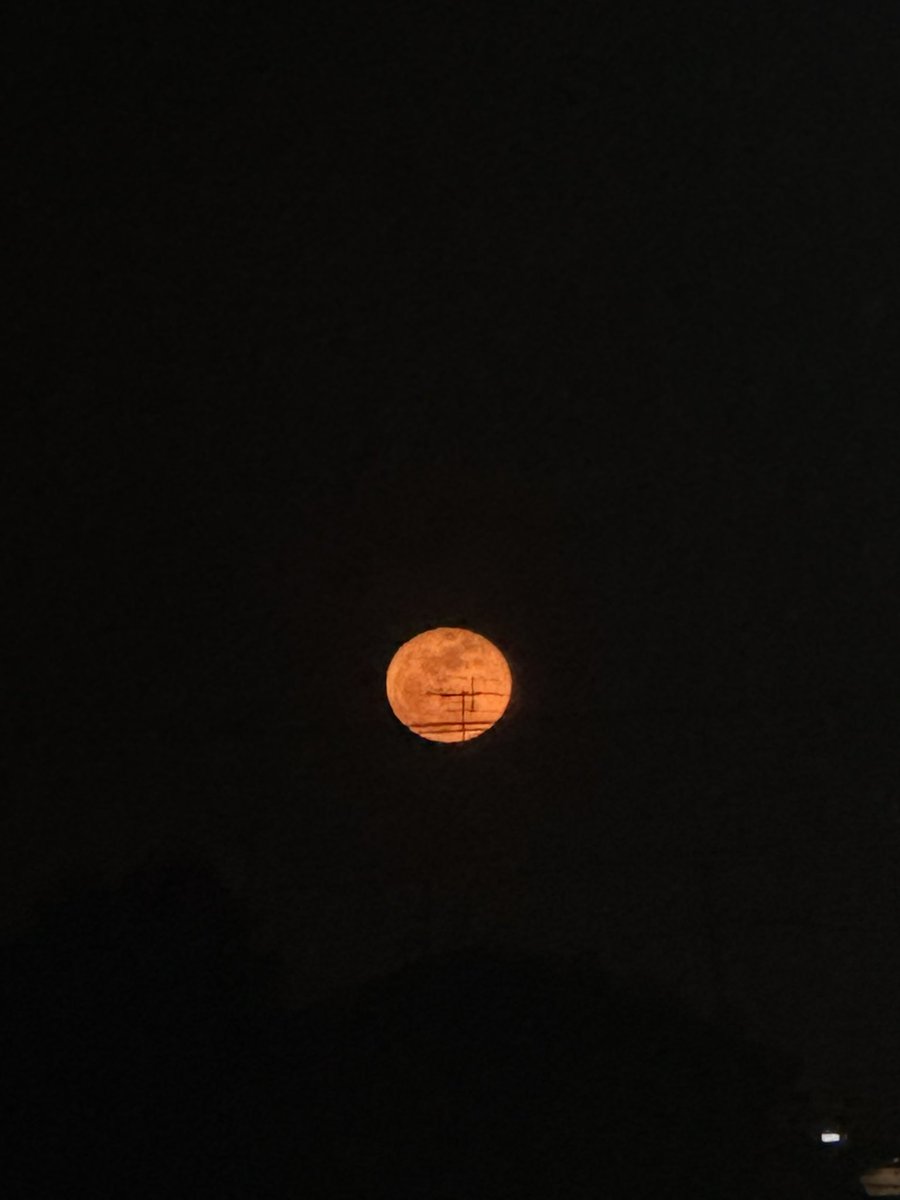 lilbit_shop's tweet image. 週末が終わりますね🌿

ライブの余熱も桜の優しさも、
全部明日からのエネルギーに変えて。

忙しい日々の中に、
ほんの少し自分を整える「隙間」を。

LILBITはそんな時間に寄り添う
アイテムを届けています🌷

セール開催中🛒suzuri.jp/lilbit

#LILBIT #SUZURIクリエイター100万人感謝セール