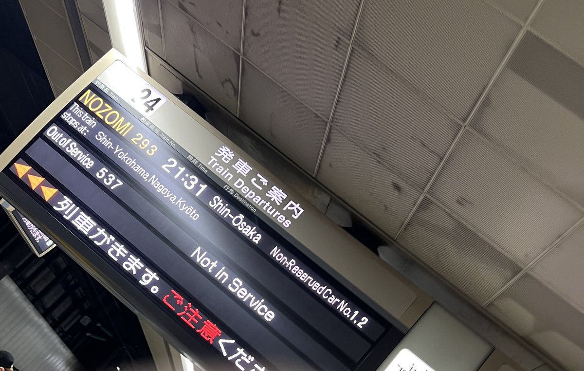 しゅうじ🐼 tweet media