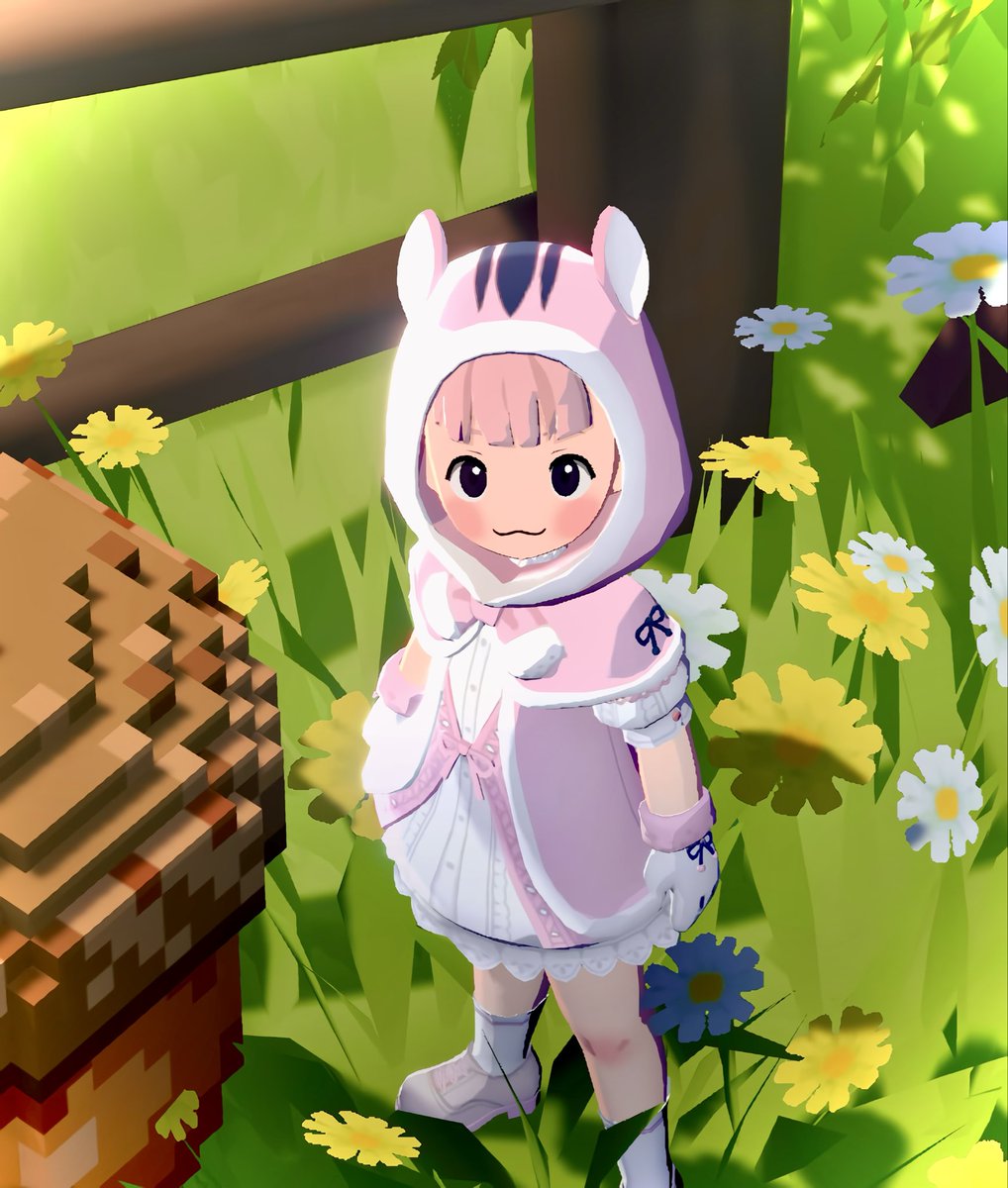 핑크교아 tweet media