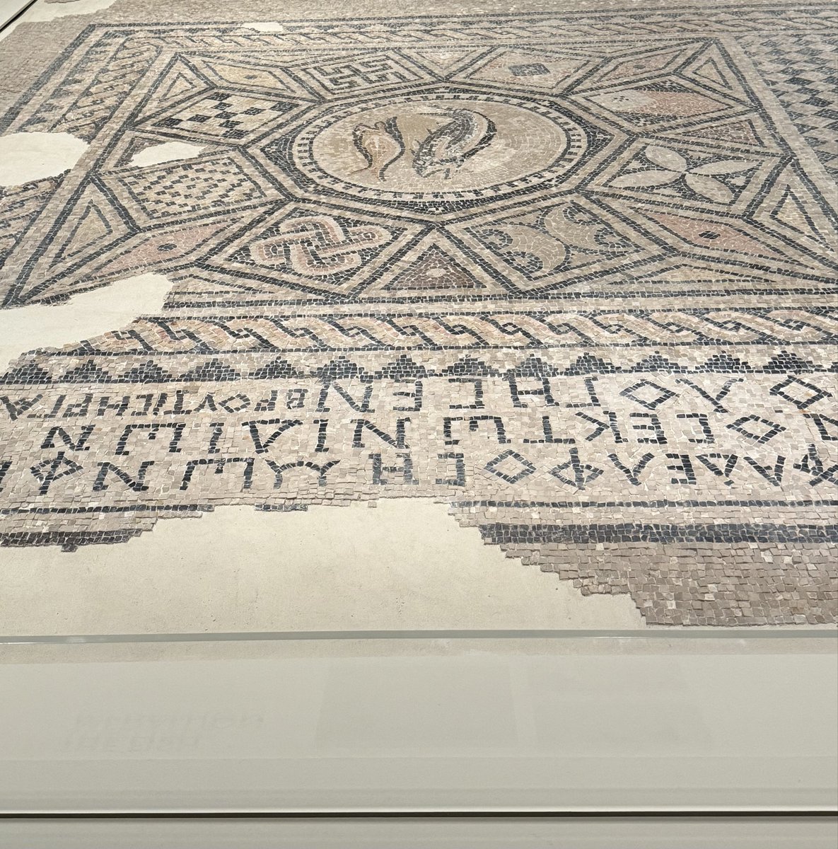 Shem Horne tweet media