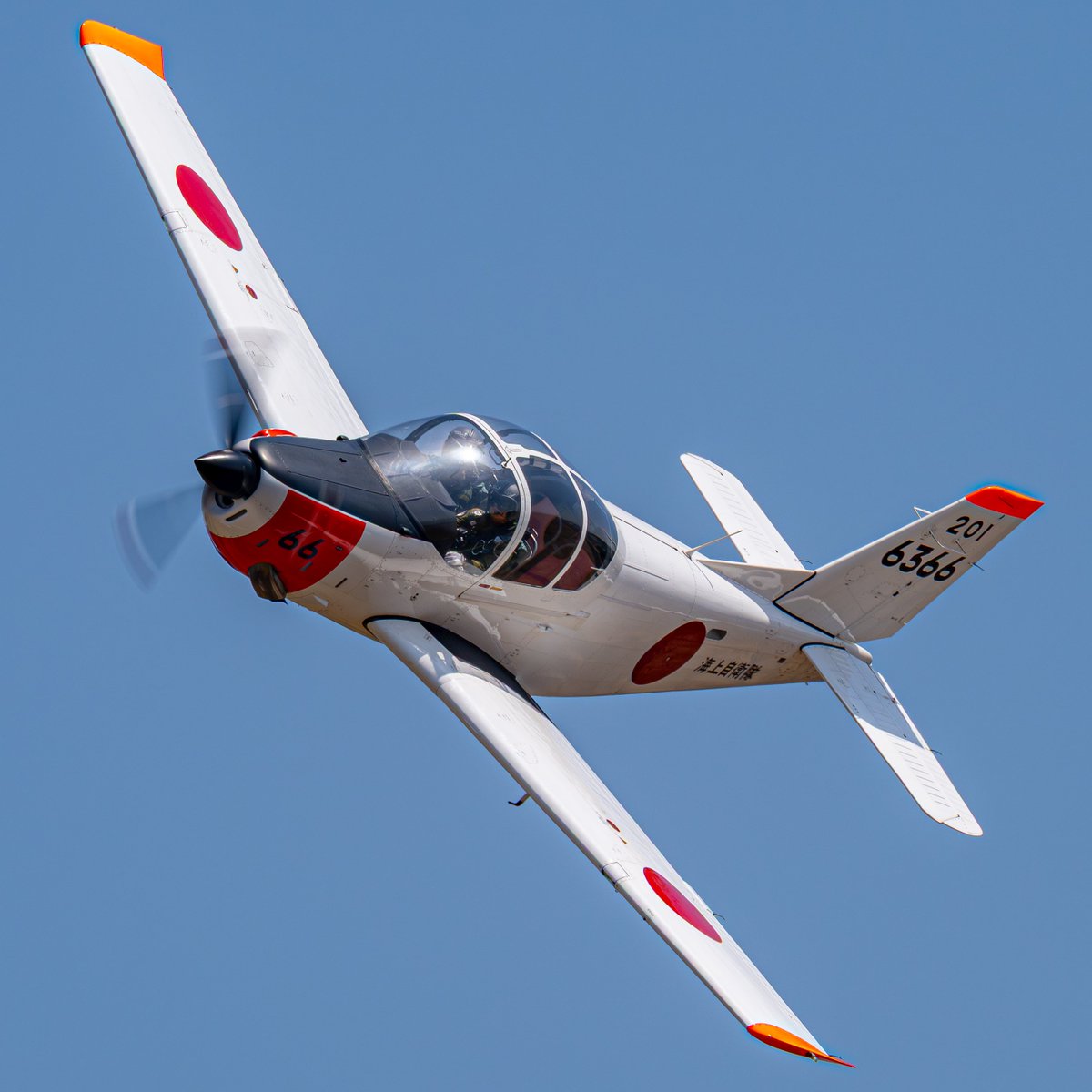 カリス(は花粉症?) tweet media