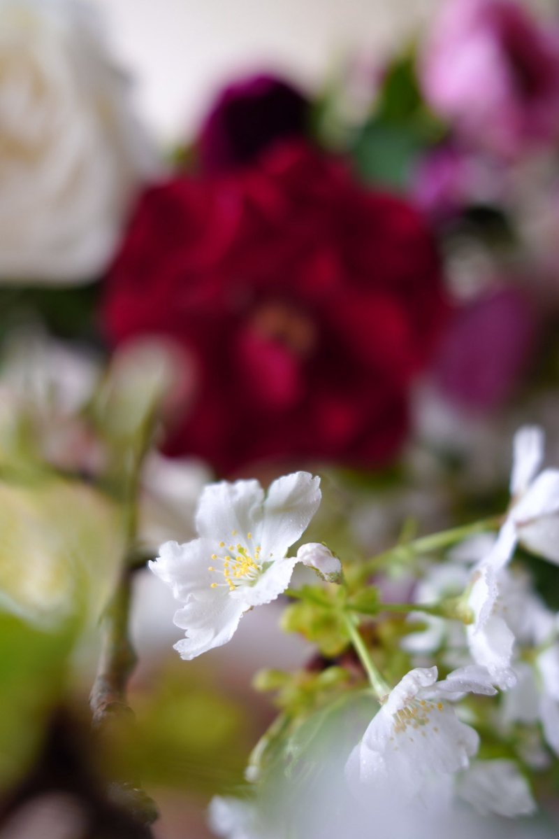 trois 花の会　5/16 6/13@静岡アトリエ tweet media