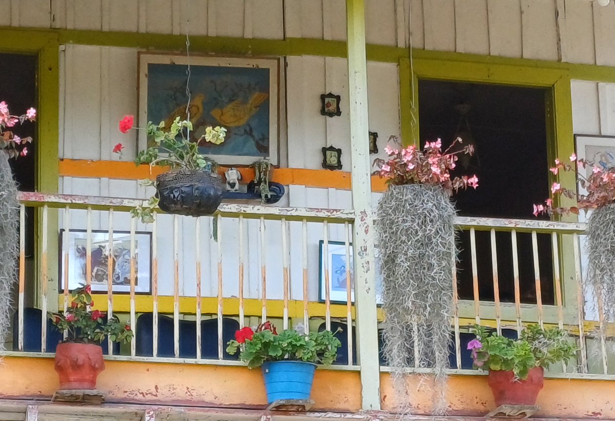 Lina María Velásquez tweet media