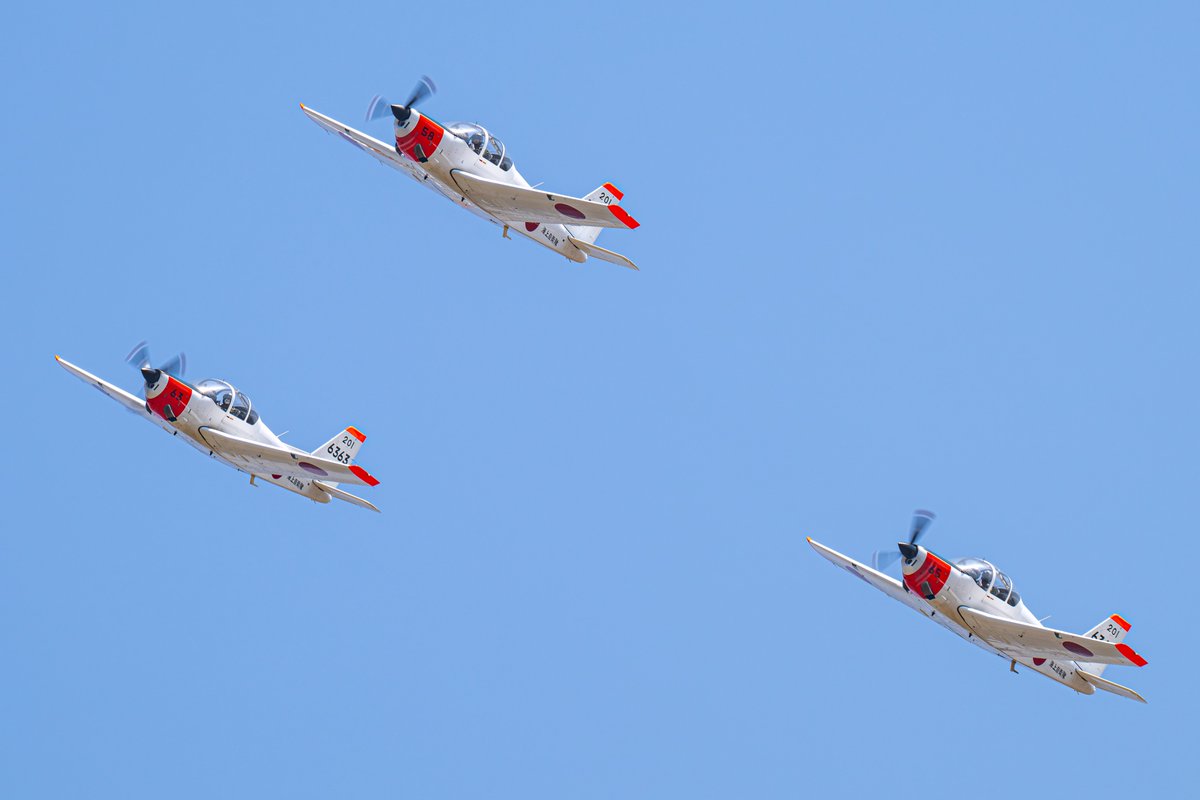 カリス(は花粉症?) tweet media