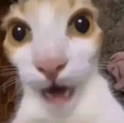 San(y)an-ToWa tweet media