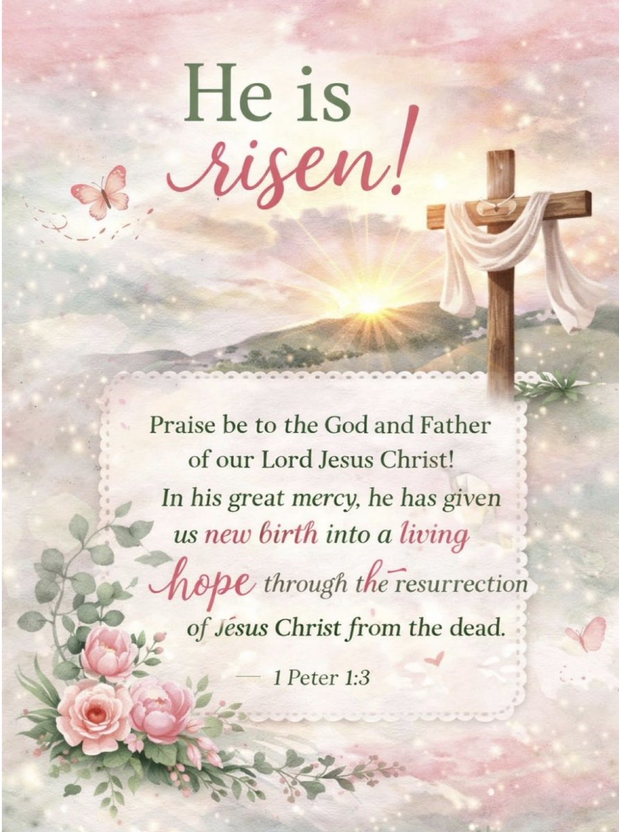 🐦Sandy Hanna🐦 tweet media