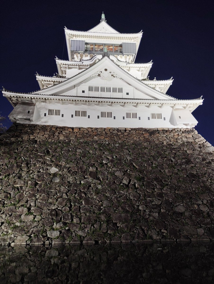 ミケ🦐 tweet media