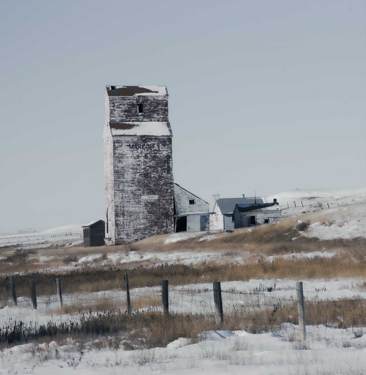 Dylan Bertholet tweet media