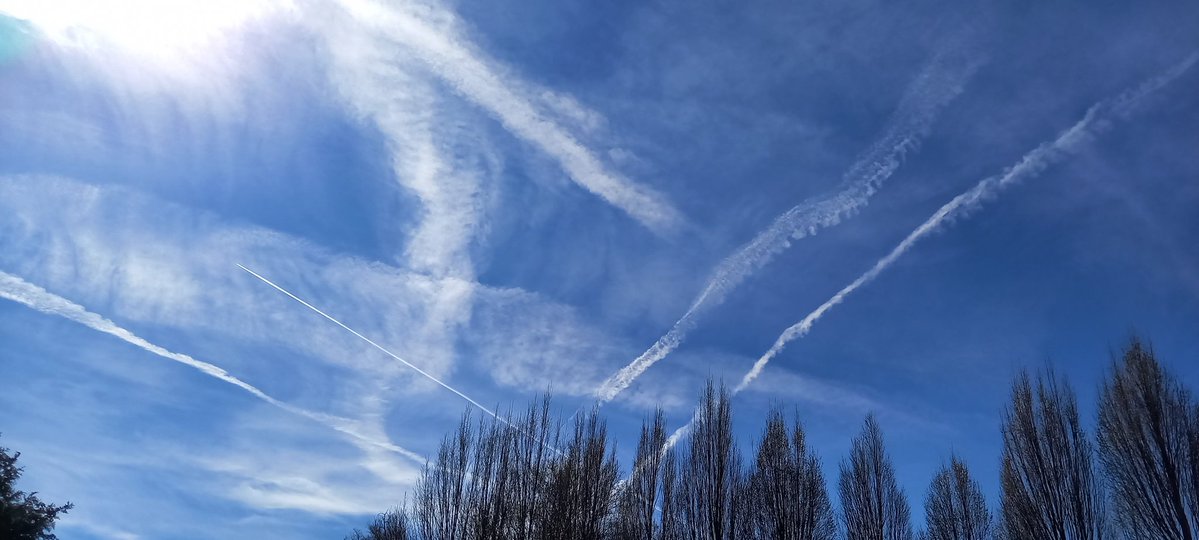 Sidneypoi🇨🇿 tweet media