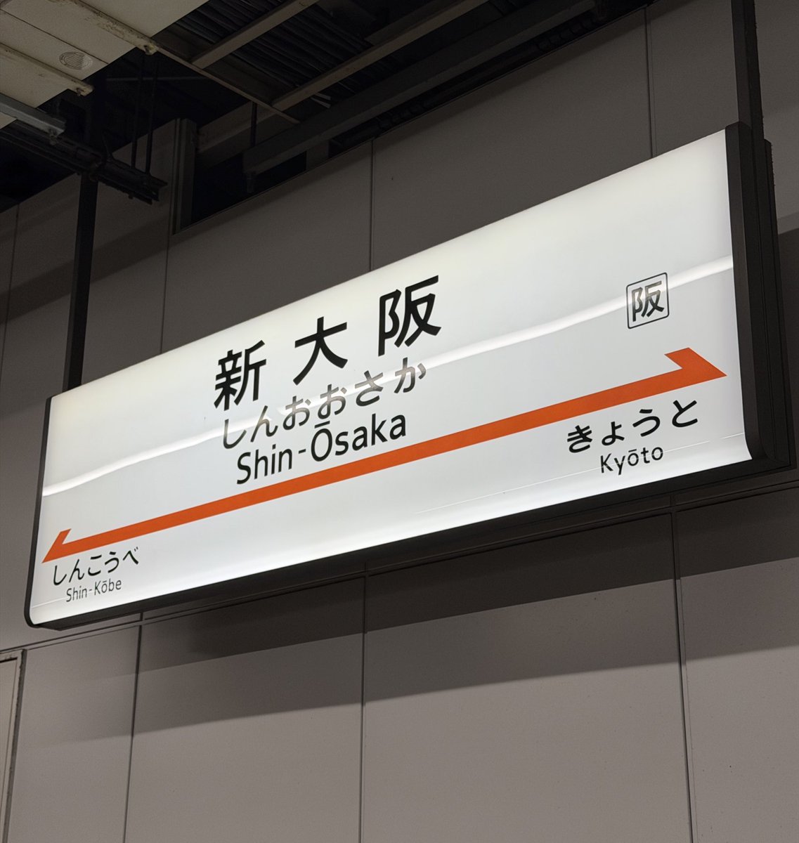 コヤくん tweet media