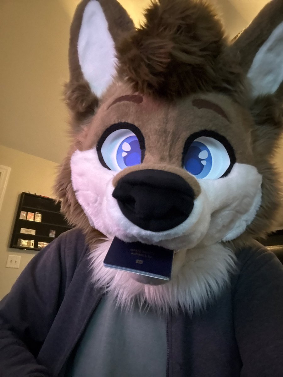 Zuni 🐾 tweet media