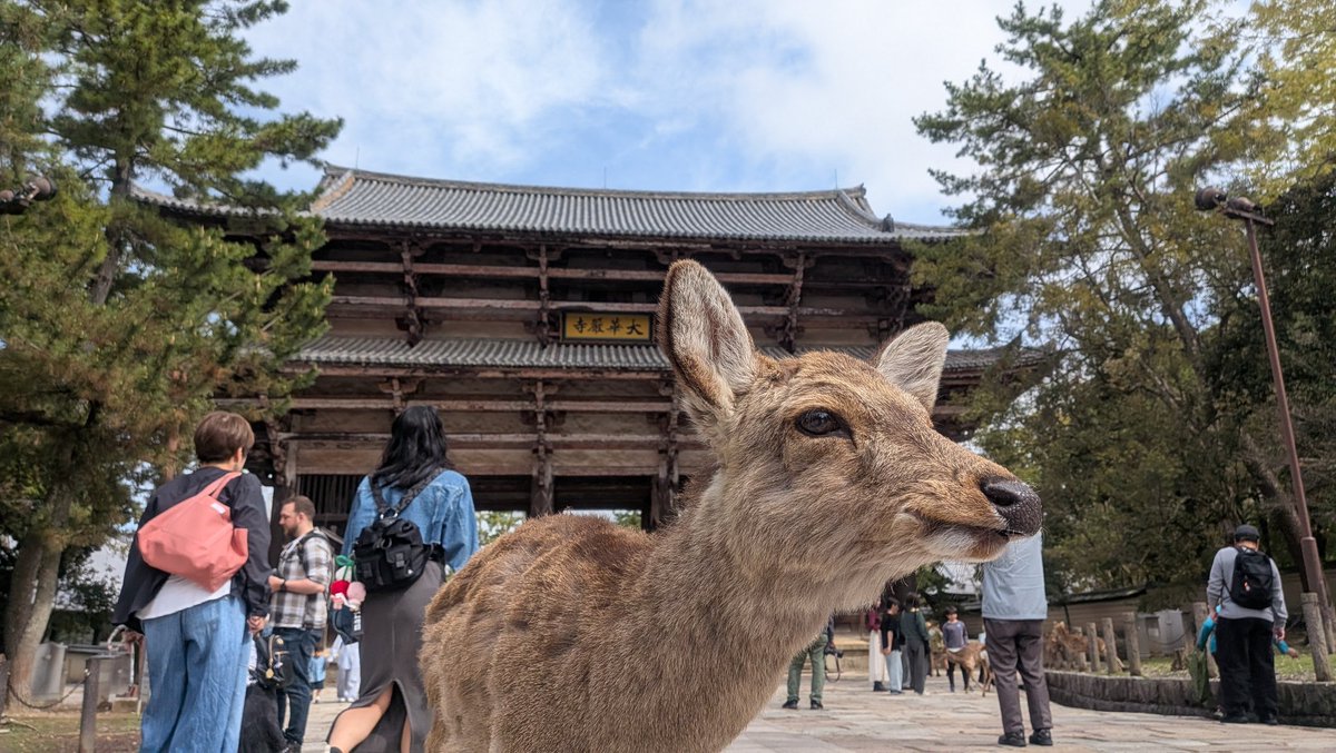 タコ娘🐙 tweet media