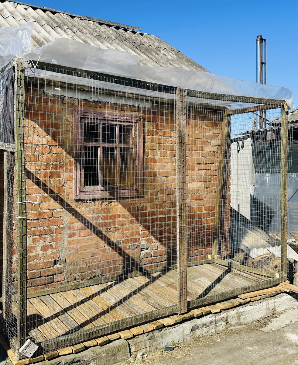 та, шо з села tweet media