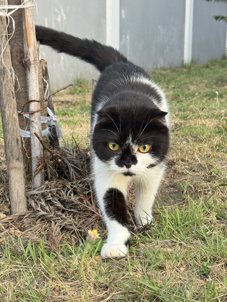 ก่อนกรกฎ tweet media