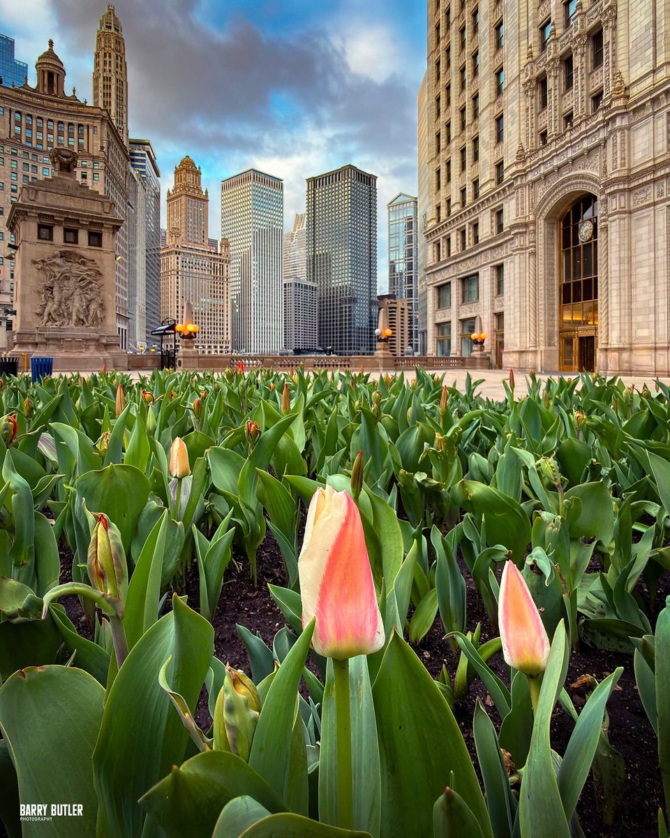 Barry Butler Photography tweet media