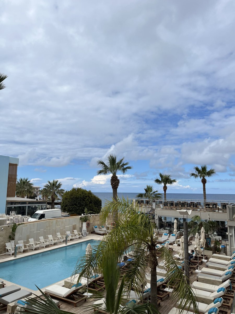 🐾🐾 tweet media