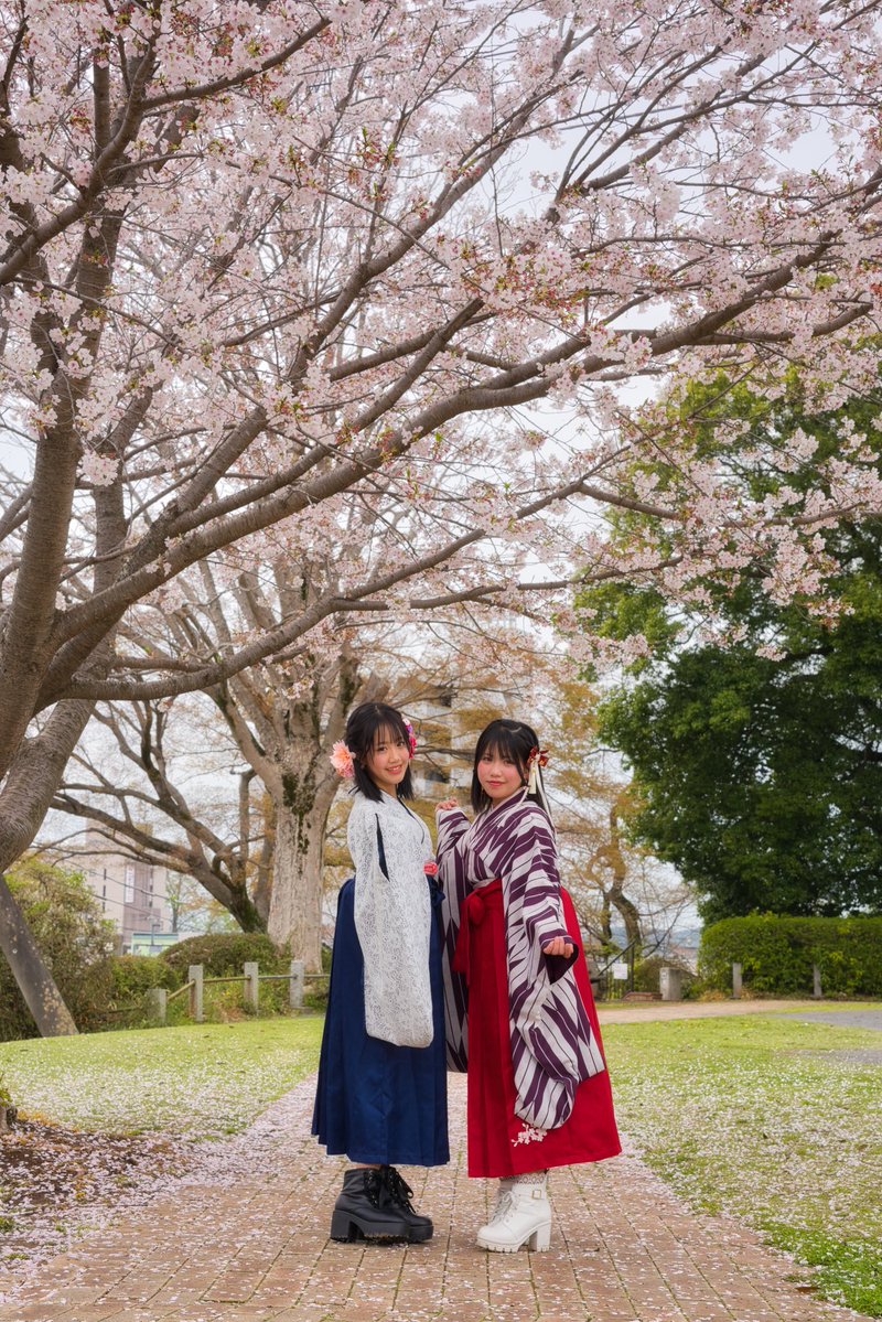 だいちゃん tweet media