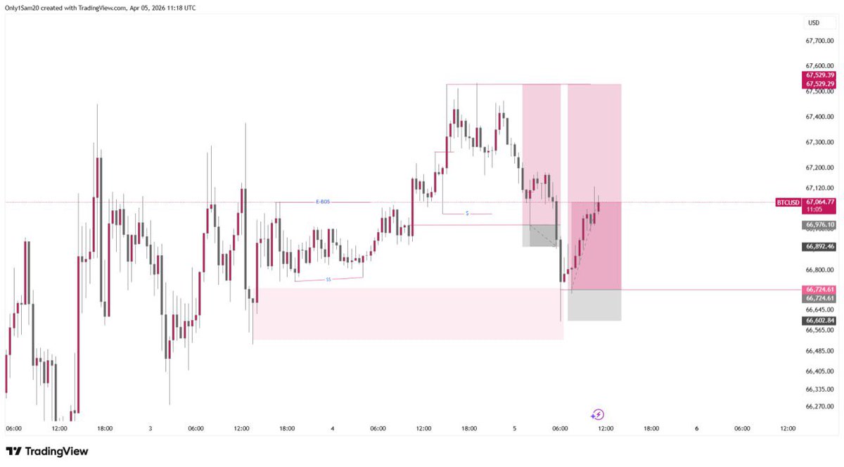 SAM🌟📈 tweet media
