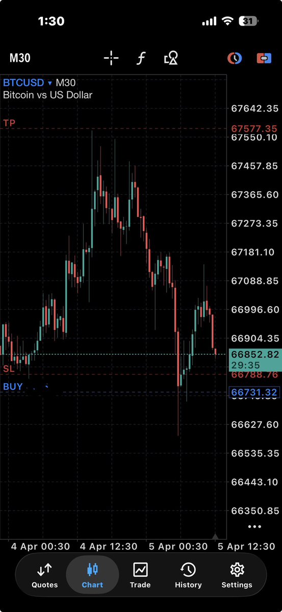 SAM🌟📈 tweet media
