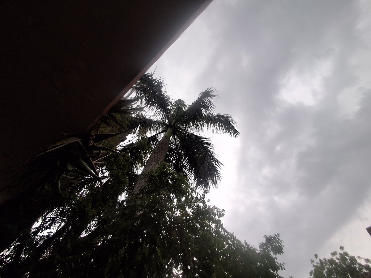 SilentOcean11's tweet photo. Dear Clouds,
I appreciate the way you always stood beside me when I'm sad, and I know how cleverly you hid my tears from others by pouring yourself gently all over.
You are always kind to me, Thank you for being my companion and being with me. ✨🌧️⛈️
#BeingTrue https://t.co/6pefaTbGuU