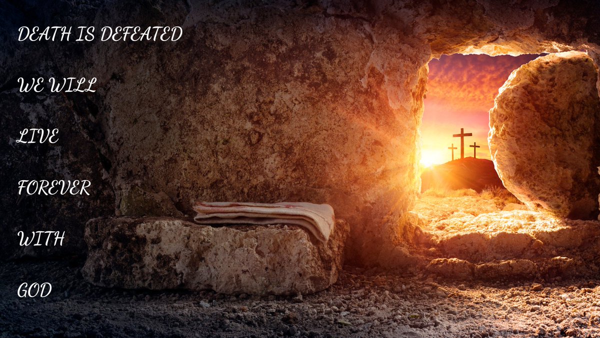 Bowen Greenwood tweet media