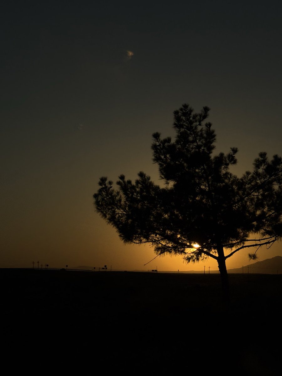 وحيد اكثر من فوييجر tweet media