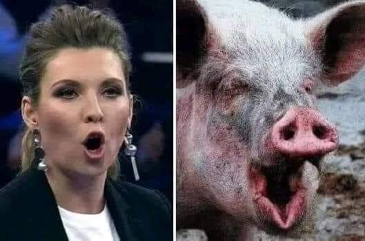 Виктор Штепсель tweet media