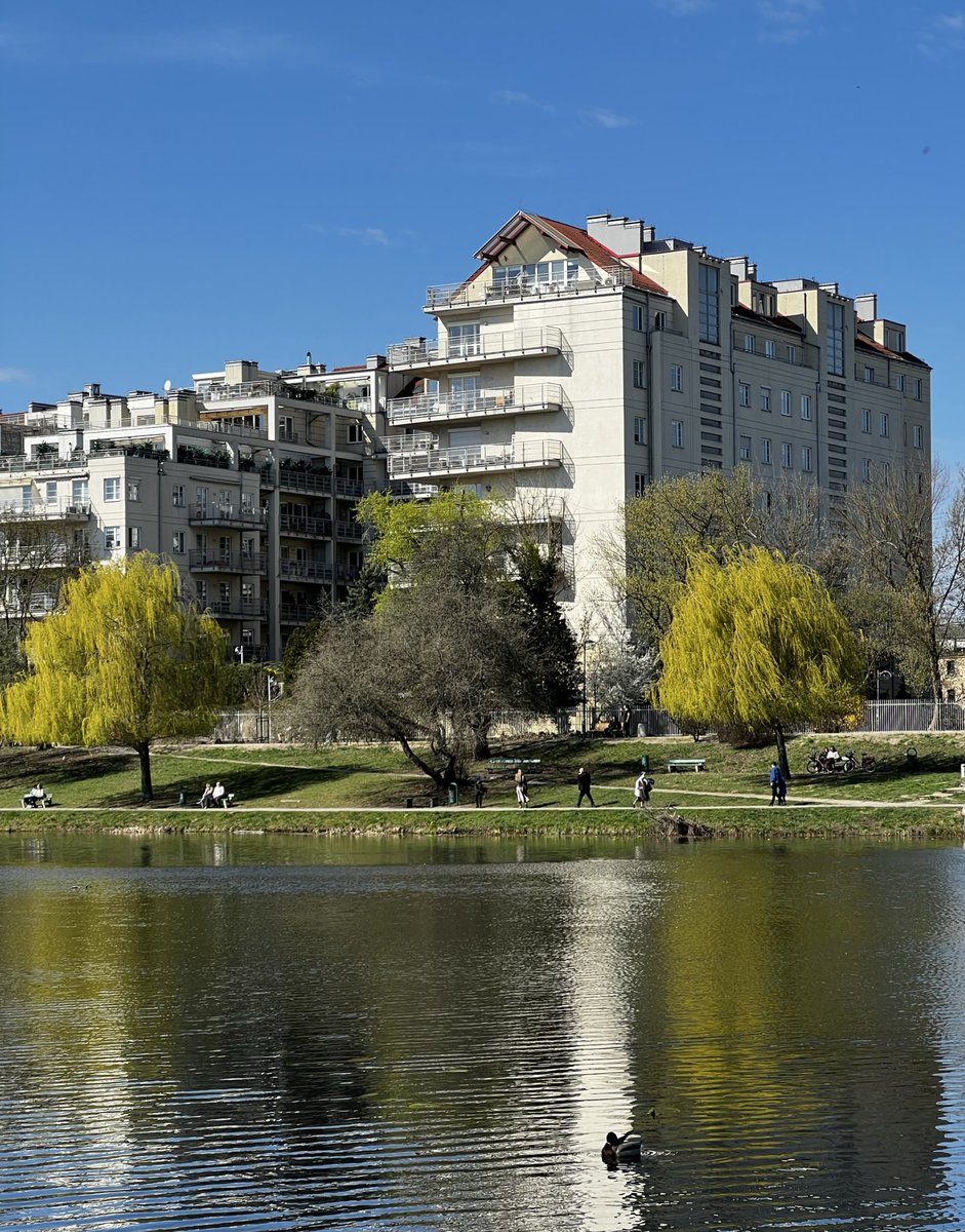 dmitry/b tweet media