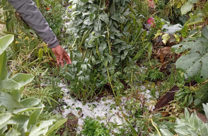 COENPeru's tweet photo. La tarde del 4/4 se registró una #Granizada en la localidad y distrito de #Yunga, provincia General Sánchez Cerro (Moquegua), que causó daños en viviendas y producción agrícola. Gobierno local ejecuta la #EDAN y gestiona con la agencia agraria provincial la evaluación de daños de acuerdo a su competencia.