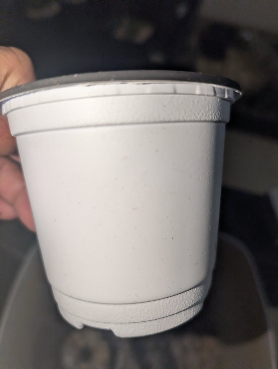 忘備録 tweet media