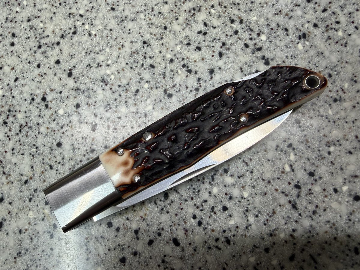 まほ〜 tweet media