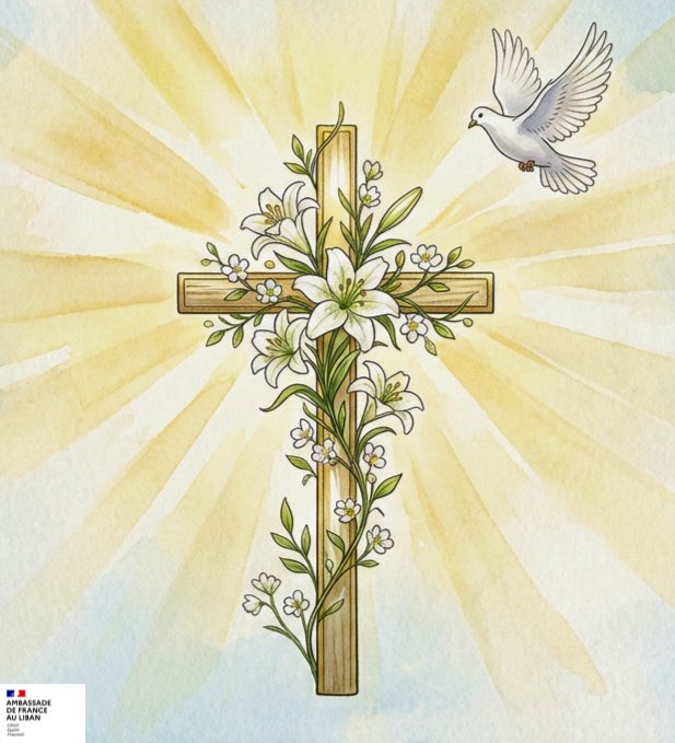 La France au Liban 🇫🇷🇪🇺 tweet media