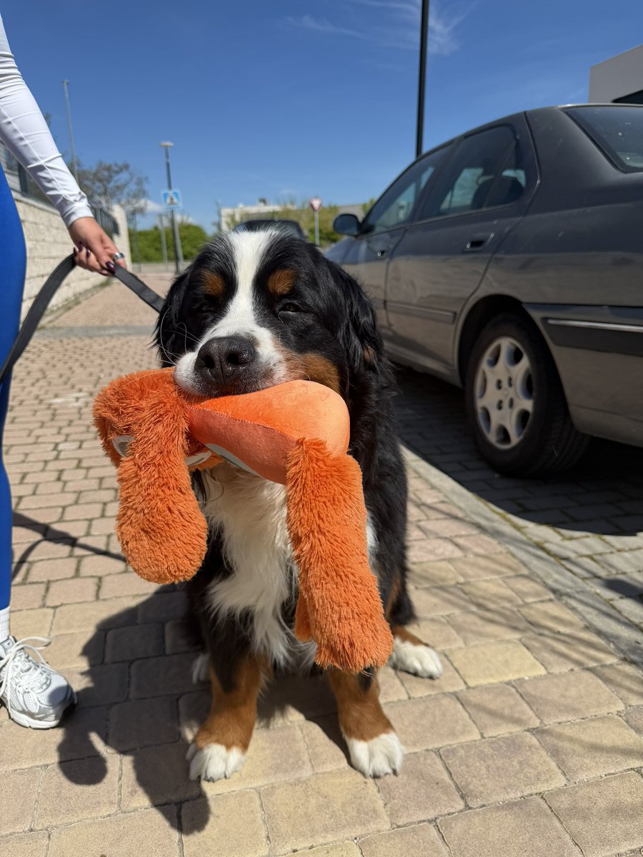 DjMaRiiO tweet media