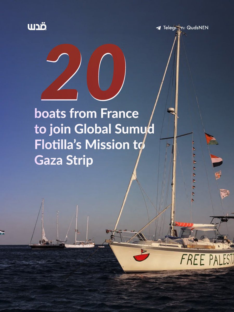 Quds News Network tweet media