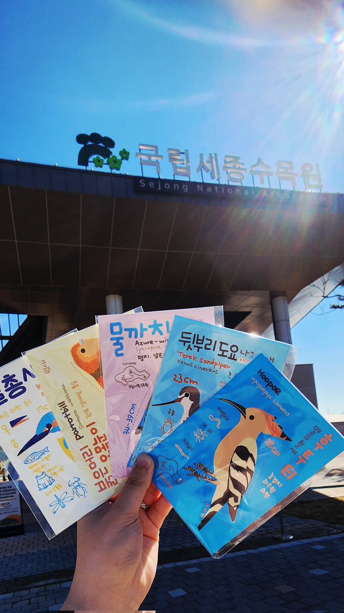 마법사 지망생 사담계 tweet media