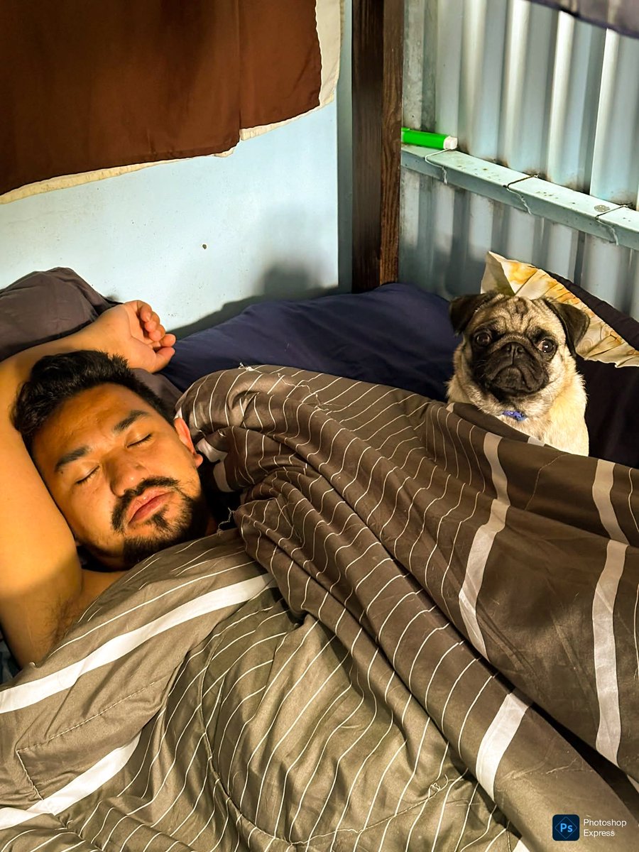 xtosi's tweet photo. My alarm clock every morning. 😅 https://t.co/RmBtfQfePj