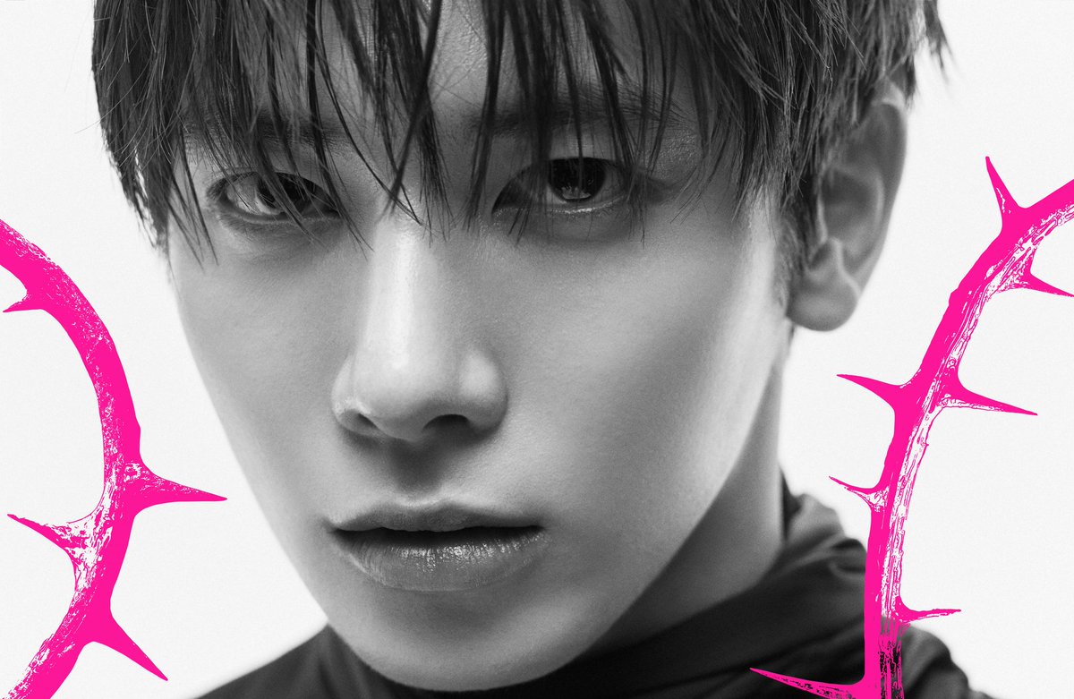 あしたも (*´꒳`*) 내일도🌟🐦🌃 tweet media