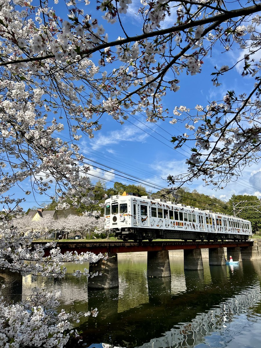 yokochin153604's tweet image. We rode the train and back to Ōike-yūen station.

And we visited the park called Ōike-yūen again, and took some more photos.

We were able to take so many nice photos today!

#Japan 
#japanese 
#Wakayama