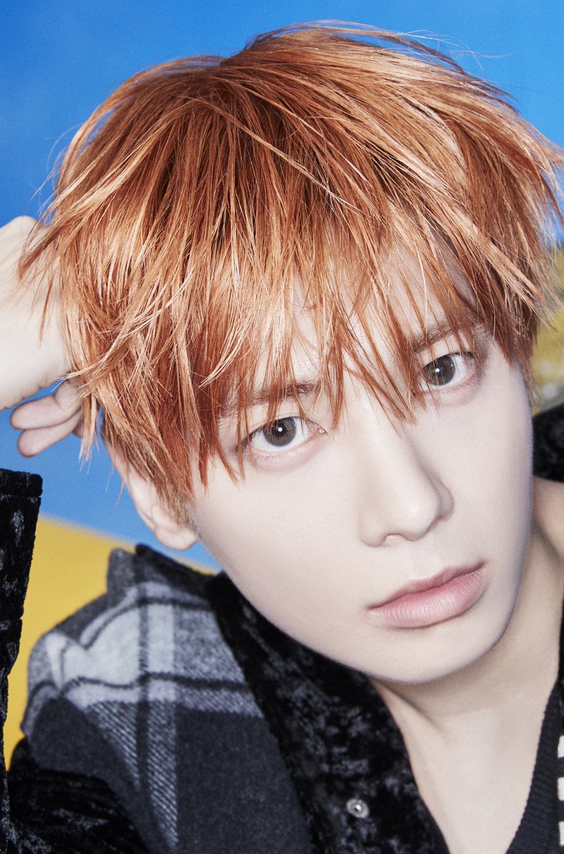 あしたも (*´꒳`*) 내일도🌟🐦🌃 tweet media