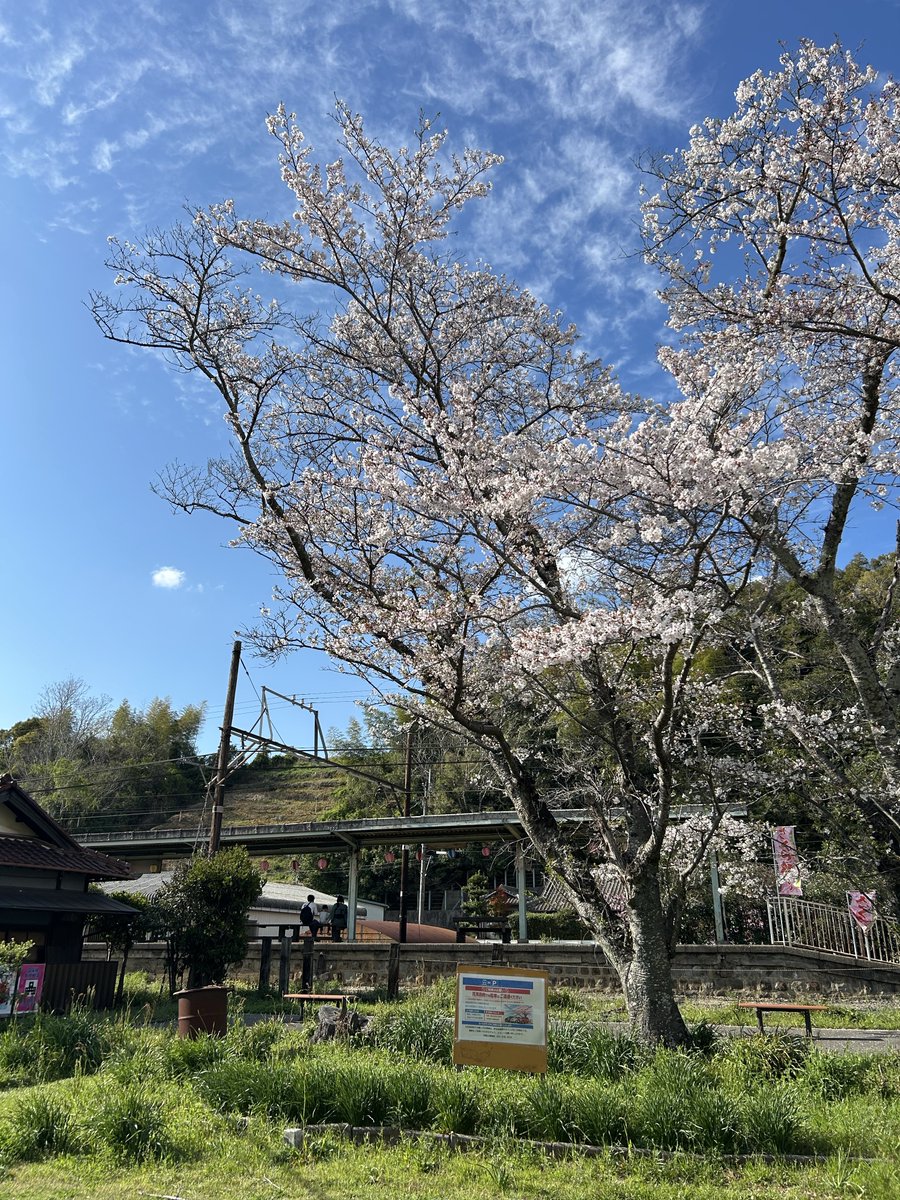 yokochin153604's tweet image. We rode the train and back to Ōike-yūen station.

And we visited the park called Ōike-yūen again, and took some more photos.

We were able to take so many nice photos today!

#Japan 
#japanese 
#Wakayama