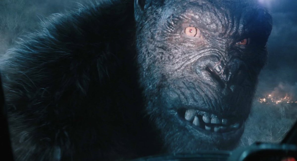 🪩⟁ Obi-Wan Pierogi ⟁🪩 tweet media