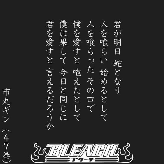 定期的に見たくなるブリーチのポエム