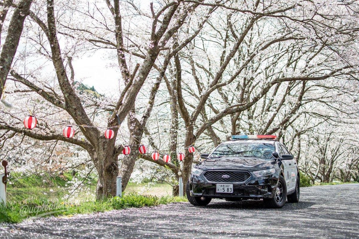 O氏(オーシ) tweet media