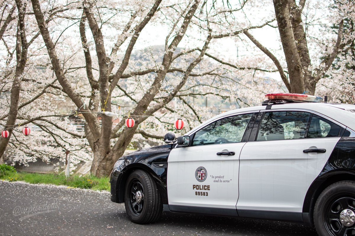 O氏(オーシ) tweet media